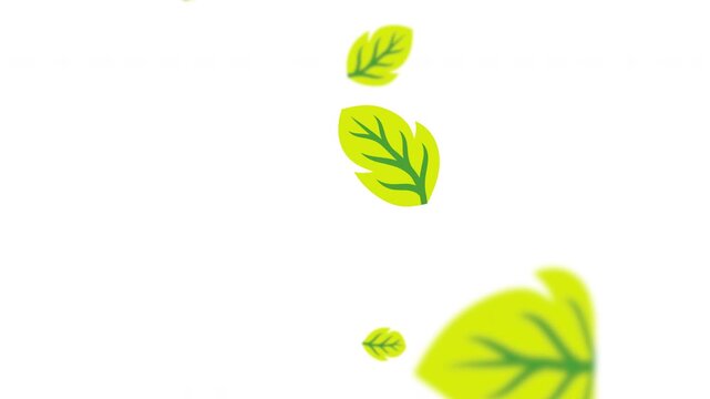 Vibrant green leaves drifting horizontally in light breeze loop video Prores Alpha 4K 60 fps