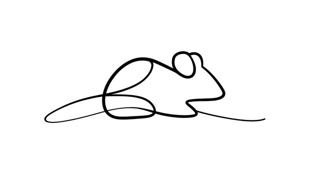 Minimalist line art mouse drawing white background.