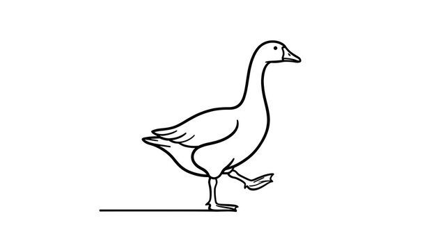 Simple goose illustration on white background.