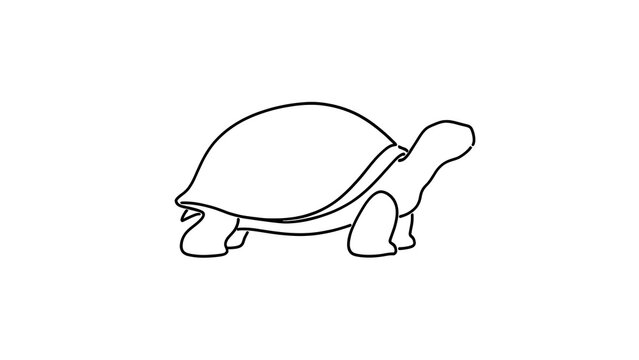 Simple turtle line drawing on white background.