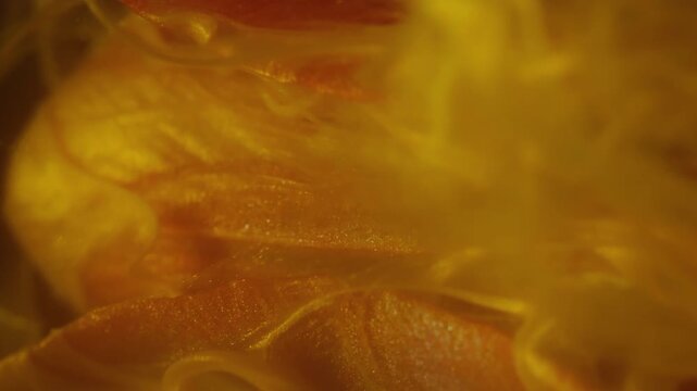 Vertical video. Fog flower. Ethereal smoke. Defocused yellow red color tulip plant nature bud ink flowing in water on abstract background.