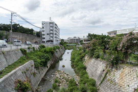 街を流れる両側がコンクリートで整備され植物が生えている川
