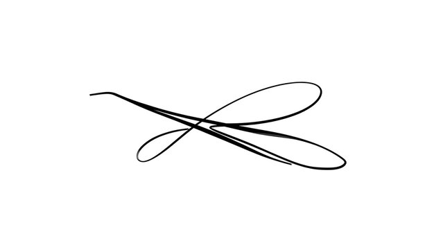Elegant black signature flourish on white background.