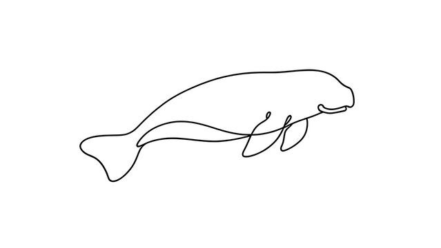 Minimalist manatee line drawing white background.