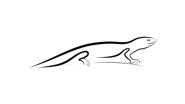 Minimalist lizard line art drawing white background.