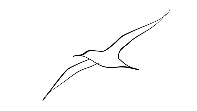Minimalist bird silhouette illustration white background.