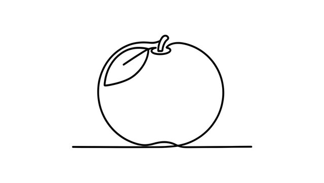 Simple line art apple illustration white background.