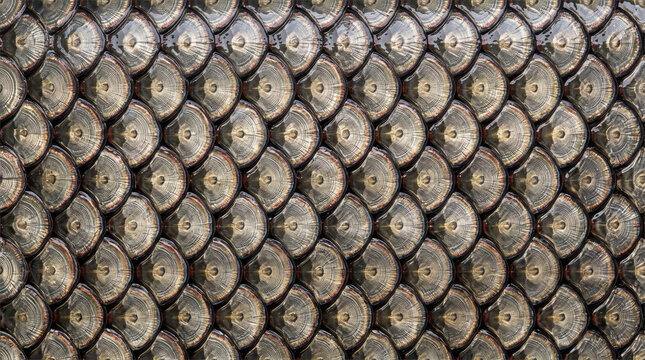 Arowana fish scale texture with golden growth rings