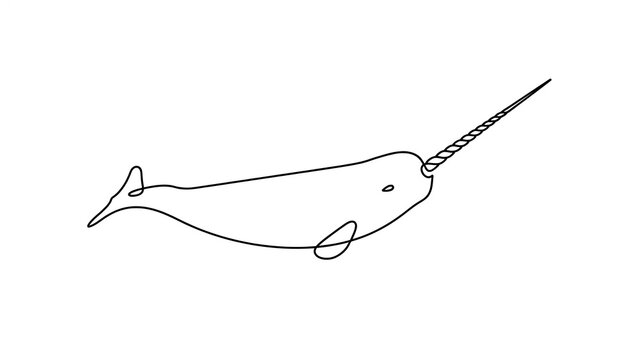 Simple narwhal illustration on white background.