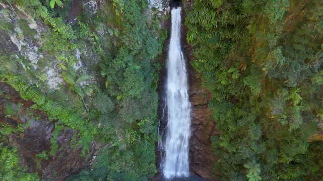 Aerial View of a Waterfall Cascading Down a Rainforest Cliff