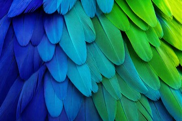 Fototapeta premium Parrot feathers overlapping in closeup with blue green gradient