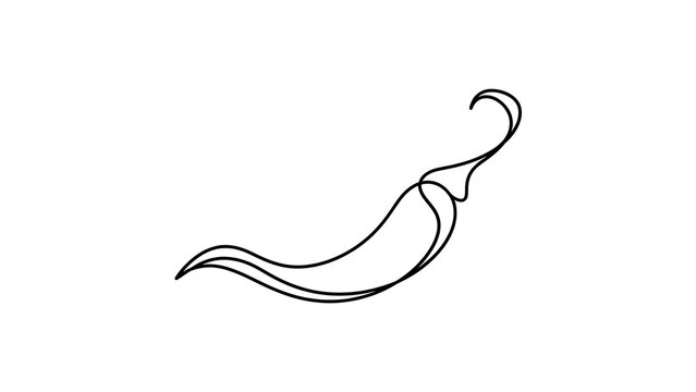 Elegant black chili pepper line art white background.