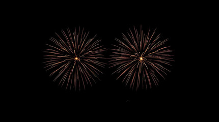 Fototapeta premium Vibrant fireworks in dark sky with symmetrical burst display
