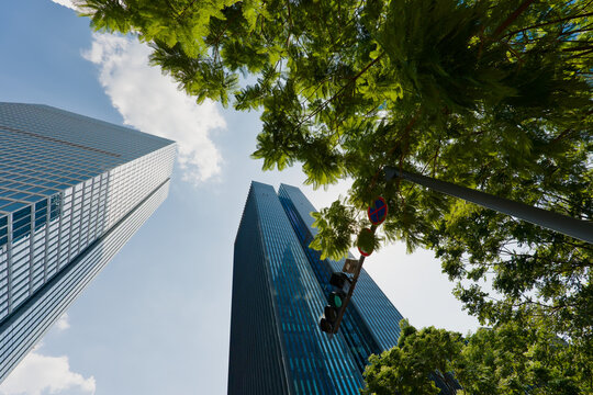 Low-angle perspective of modern glass skyscrapers framed by leafy trees and a traffic light, highlighting the contrast between urban architecture and nature under a clear blue sky.