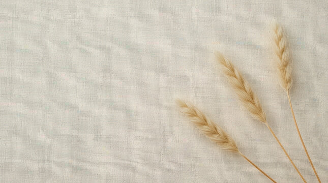 Woven linen fabric background, beige dried grass stems