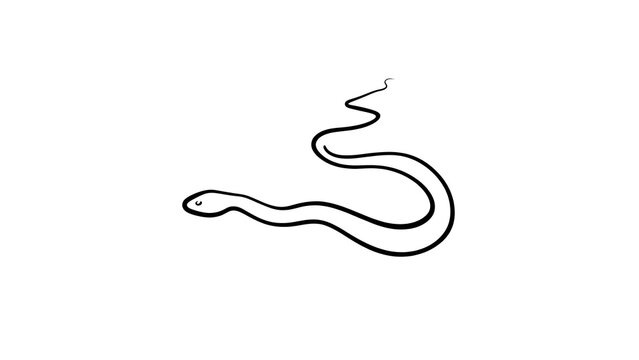 Minimalist snake line art illustration white background.