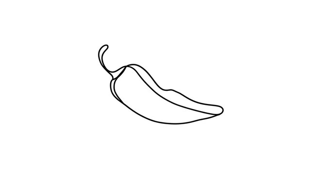 chili pepper line art illustration white background.