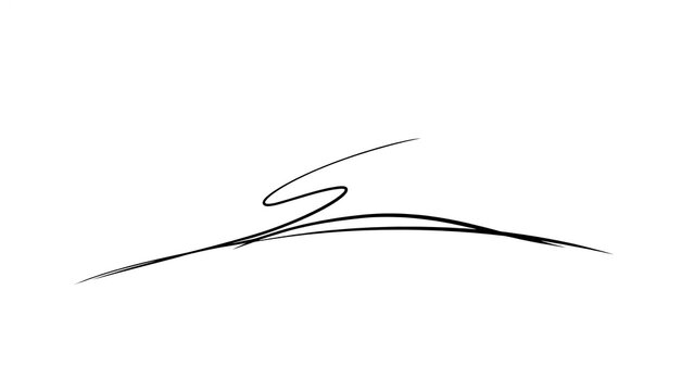 Elegant handwritten signature on white background.