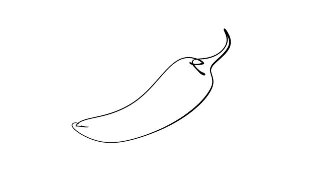 Single chili pepper line drawing white background.