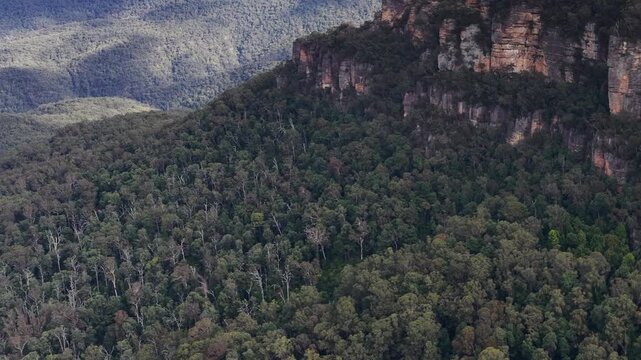 Sandstone Cliffs and Eucalyptus Forest in Blue Mountains National Park