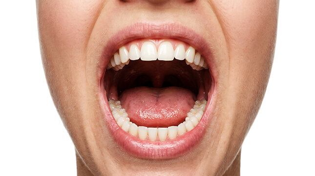Close-up of open human mouth showing teeth and tongue