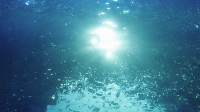 Underwater view of bright sun rays piercing through the blue ocean surface. Several fish swim peacefully in the deep water. Serene marine life background with bubbles and light beams.