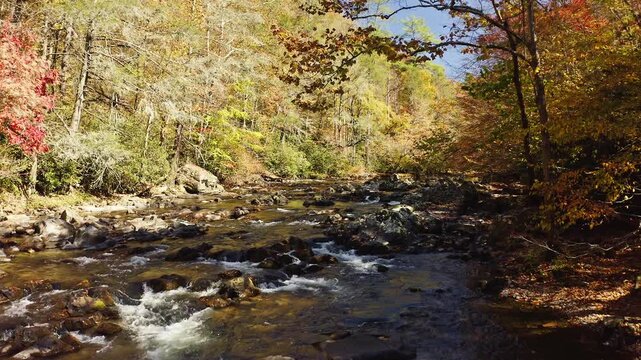 Big Laurel Creek