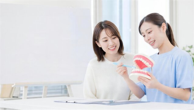 歯の模型を使って口腔ケアを学ぶ女性二人