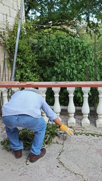Gardener Throwing Pruned Tree Branches Down from Balcony