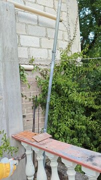 Gardener Pulling and Removing Pruned Branches on Ladder