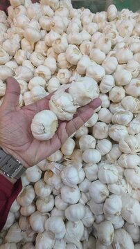 A hand holding Garlic while shopping in a supermarket