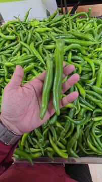 A hand holding green chillies while shopping in a supermarket