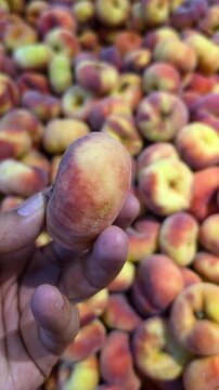 A hand holding Fig Peach while shopping in a supermarket