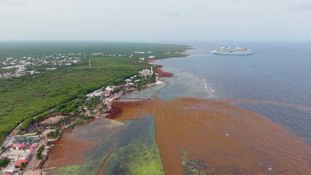 Clean turquoise waters behind sargassum barriers in Mahahual