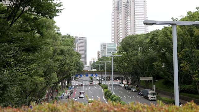 Urban road lined with trees and city buildings