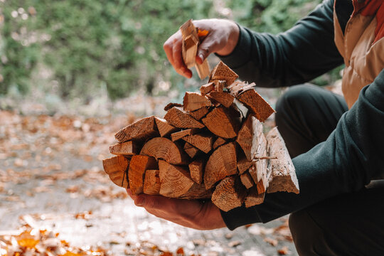 Heating season.Person Carrying Stack of Firewood. Solid natural heating fuel.man holds an armful of chopped firewood. Preparing firewood for the fall heating season.