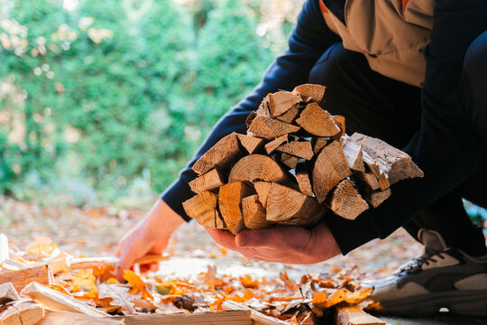 Solid natural heating fuel.man holds an armful of chopped firewood. Preparing firewood for the fall heating season.Preparation and storage of firewood for the heating season.