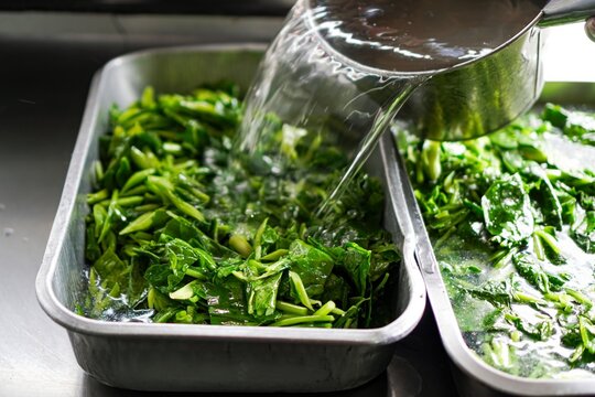 Hot Water Blanching Chinese Kale for Restaurant Food Preparation
