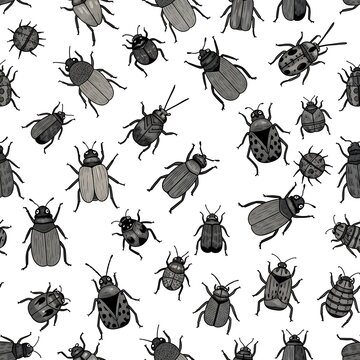 Seamless pattern with hand drawn beetle illustrations