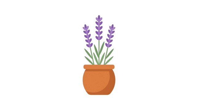 Beautiful blooming purple lavender plant in a classic terracotta pot. Flat vector illustration isolated on white background, perfect for spring, gardening, and botanical design themes.