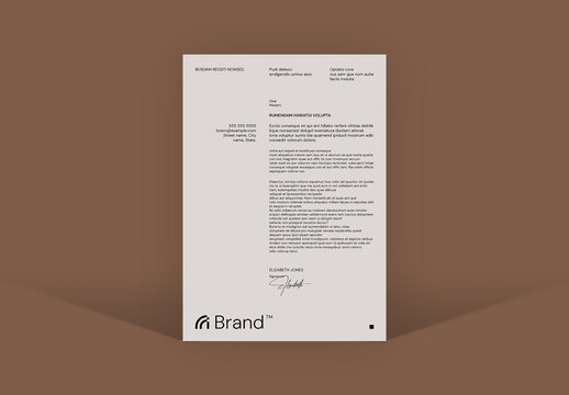 Newslatter Template