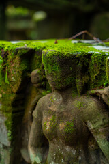 Fototapeta premium Banteay Kdei Temple in Siem Reap Province