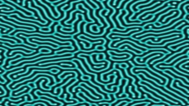 Teal reaction diffusion Turing pattern growth animation