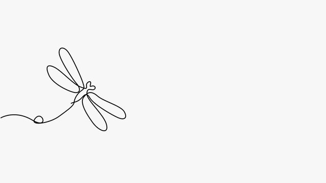 Continuous single line art drawing animation of two dragonflies with heart on white background
