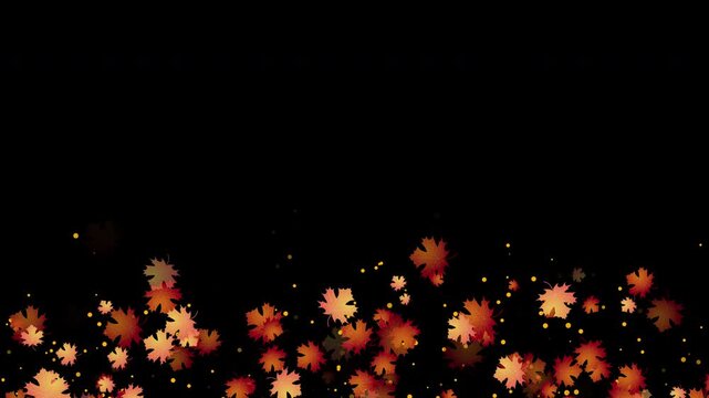 Looping motion autumn maple leaves on transparent background, alpha channel