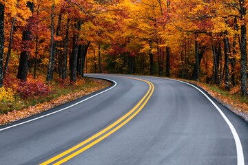 Fototapeta premium Autumn scenic road winding through a forest with colorful fall foliage and trees