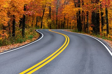 Fototapeta premium Road winding through a scenic forest with colorful autumn foliage and asphalt path