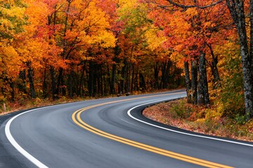 Naklejka premium Road winding through a scenic forest with bright autumn foliage and asphalt curve