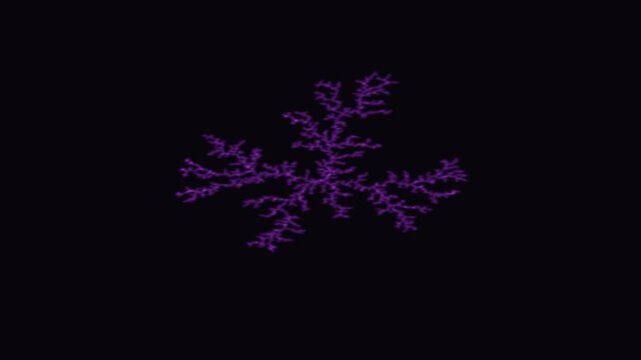 Purple diffusion limited aggregation growth animation