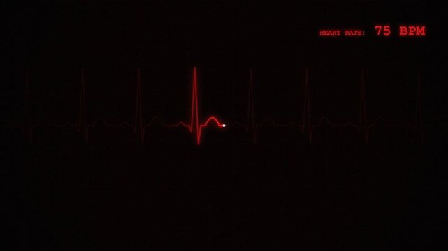 Digital Heart Rate Monitor Displaying 75 BPM ECG Waveform